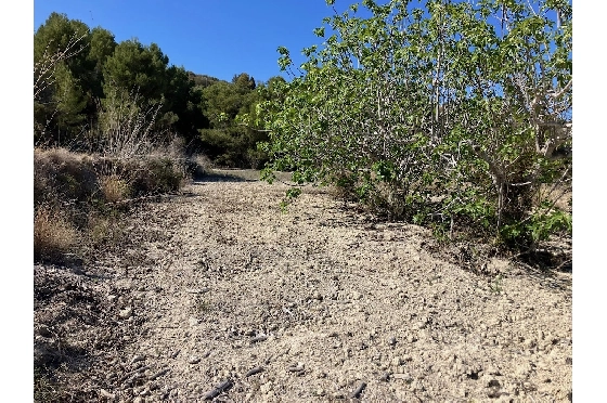 Wohngrundstück in Benissa(Benissa) zu verkaufen, Grundstück 10894 m², ref.: CA-G-1771-AMB-10