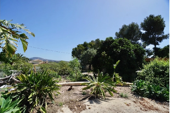 Wohngrundstück in Benissa(Fanadix) zu verkaufen, Grundstück 810 m², ref.: CA-G-1879-AMB-4