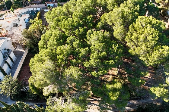 Wohngrundstück in Moraira(La Cometa) zu verkaufen, Grundstück 810 m², ref.: CA-G-1955-AMBE-14