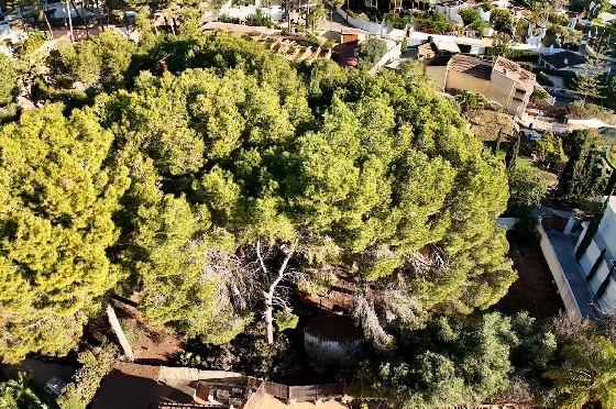 Wohngrundstück in Moraira(La Cometa) zu verkaufen, Grundstück 810 m², ref.: CA-G-1955-AMBE-15