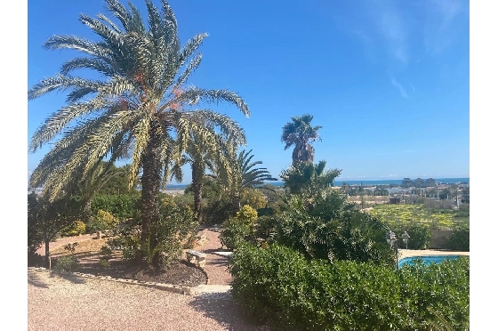 Villa in La Marina zu verkaufen, Wohnfläche 254 m², Klimaanlage, Grundstück 9920 m², 6 Schlafzimmer, 2 Badezimmer, Pool, ref.: HA-MA-235-2