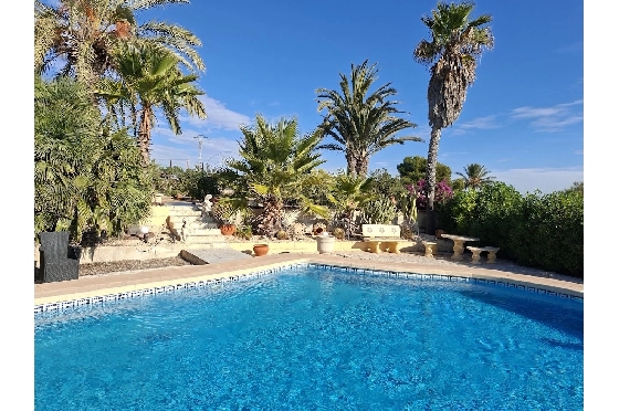 Villa in La Marina zu verkaufen, Wohnfläche 254 m², Klimaanlage, Grundstück 9920 m², 6 Schlafzimmer, 2 Badezimmer, Pool, ref.: HA-MA-235-34