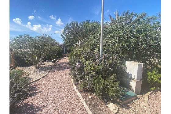 Villa in La Marina zu verkaufen, Wohnfläche 254 m², Klimaanlage, Grundstück 9920 m², 6 Schlafzimmer, 2 Badezimmer, Pool, ref.: HA-MA-235-43