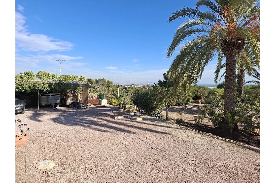 Villa in La Marina zu verkaufen, Wohnfläche 254 m², Klimaanlage, Grundstück 9920 m², 6 Schlafzimmer, 2 Badezimmer, Pool, ref.: HA-MA-235-46