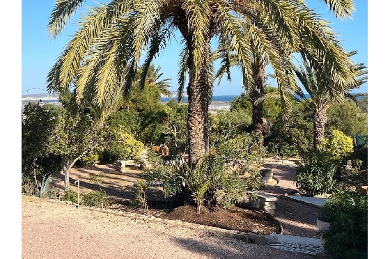 Villa in La Marina zu verkaufen, Wohnfläche 254 m², Klimaanlage, Grundstück 9920 m², 6 Schlafzimmer, 2 Badezimmer, Pool, ref.: HA-MA-235-47