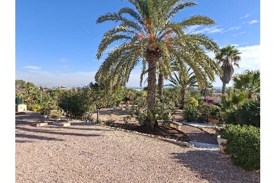 Villa in La Marina zu verkaufen, Wohnfläche 254 m², Klimaanlage, Grundstück 9920 m², 6 Schlafzimmer, 2 Badezimmer, Pool, ref.: HA-MA-235-49