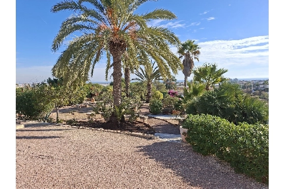 Villa in La Marina zu verkaufen, Wohnfläche 254 m², Klimaanlage, Grundstück 9920 m², 6 Schlafzimmer, 2 Badezimmer, Pool, ref.: HA-MA-235-50